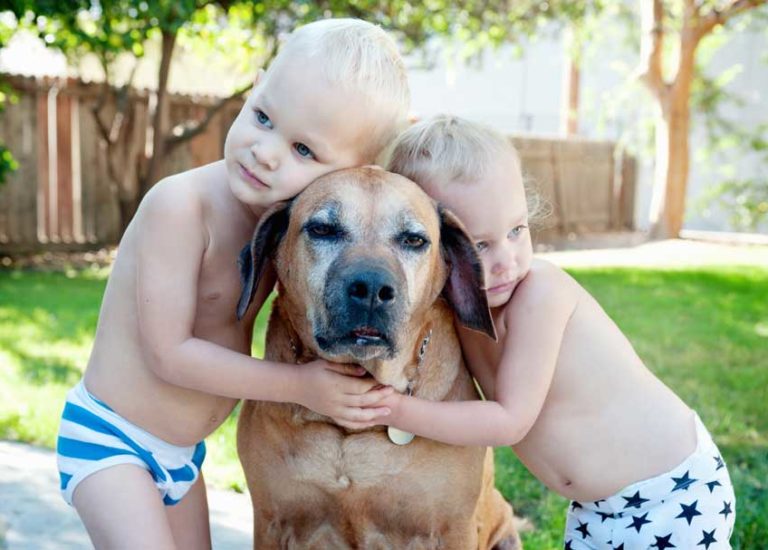 books-help-grieving-death-of-pet