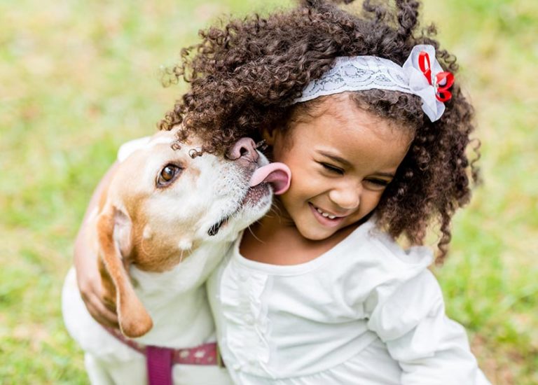 How to Pet Your Pet: 8 Books That Show Kids How to Treat Animals Thumbnail