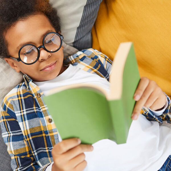 25 Early Chapter Books for Boys